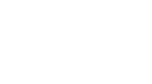 Lotus Project